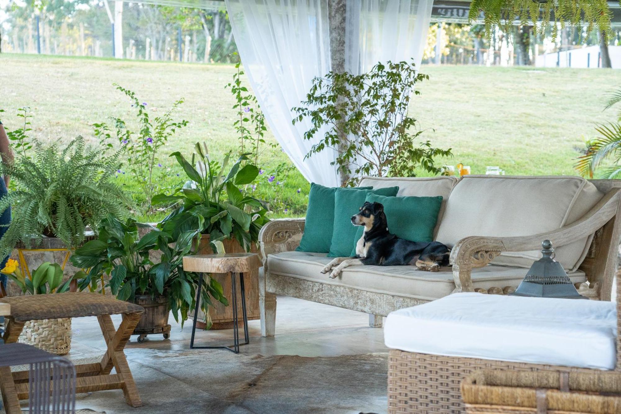 Limoeiro Da Concordia Hotel Fazenda De Charme Cabreúva エクステリア 写真