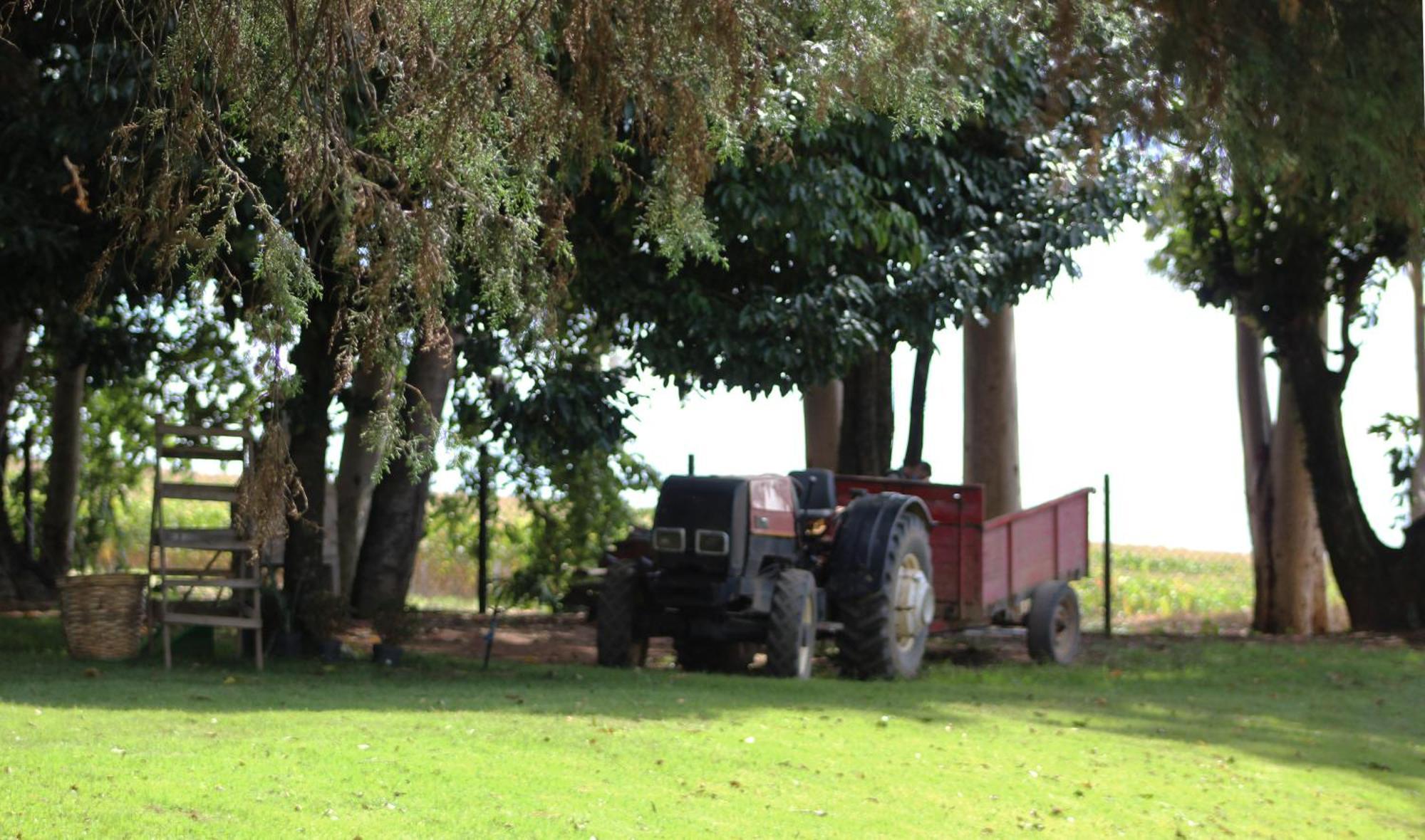 Limoeiro Da Concordia Hotel Fazenda De Charme Cabreúva エクステリア 写真