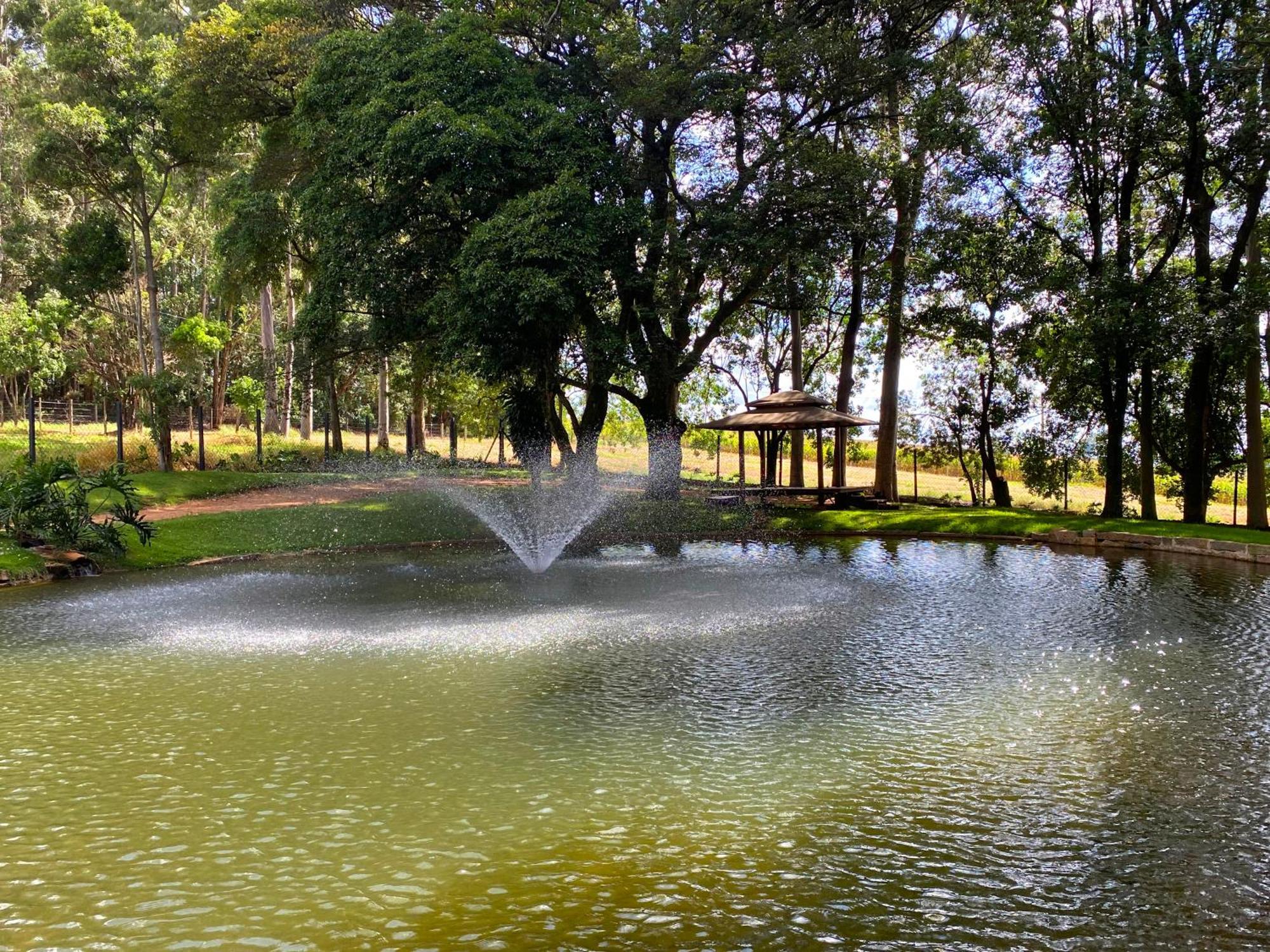 Limoeiro Da Concordia Hotel Fazenda De Charme Cabreúva エクステリア 写真