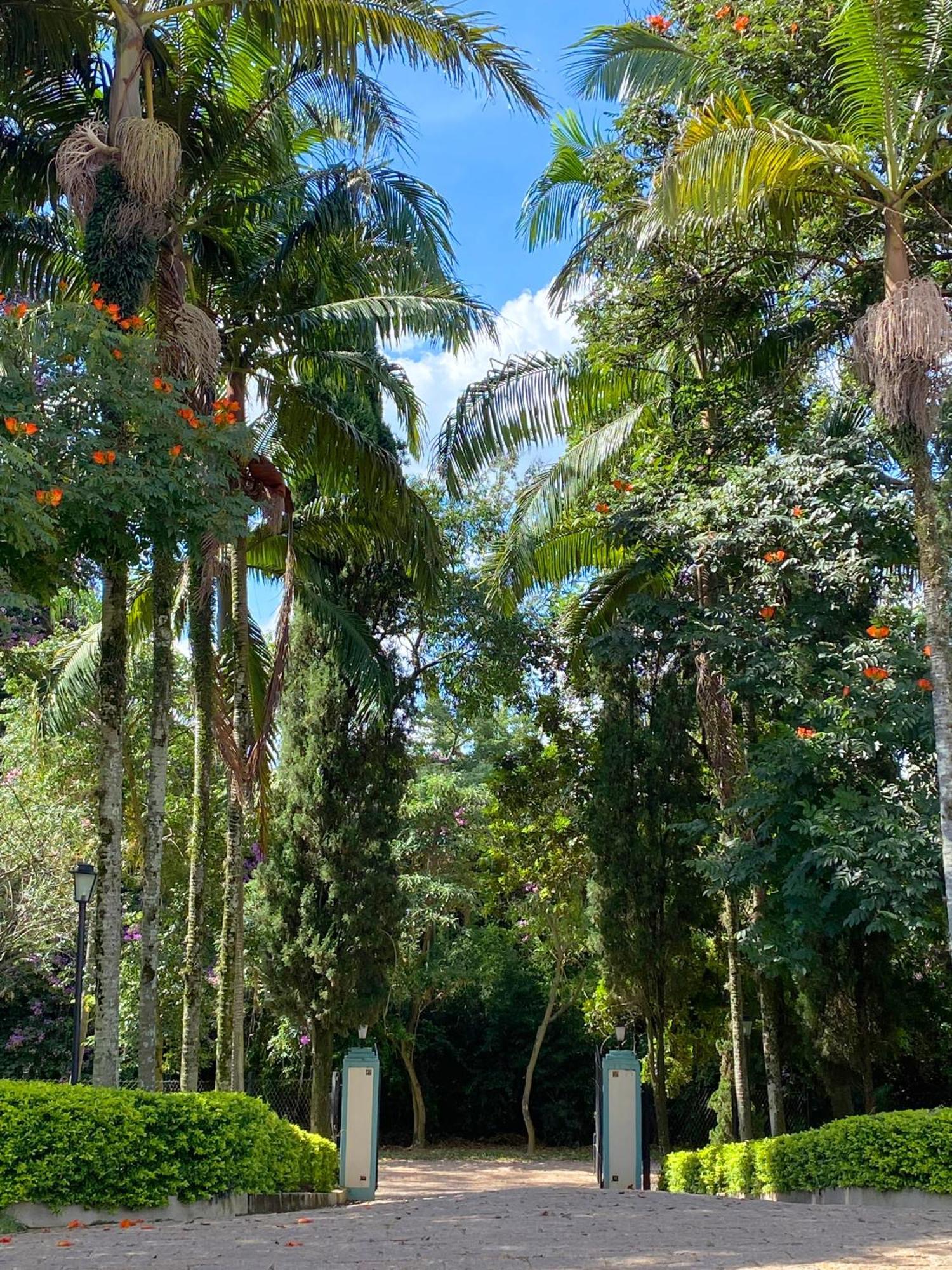 Limoeiro Da Concordia Hotel Fazenda De Charme Cabreúva エクステリア 写真